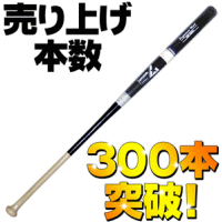 �g���[�j���O�p�ؐ��o�b�g