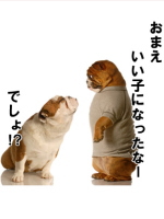 �X�c���̈����ƖL���ɕ�炷���߂̂����@
